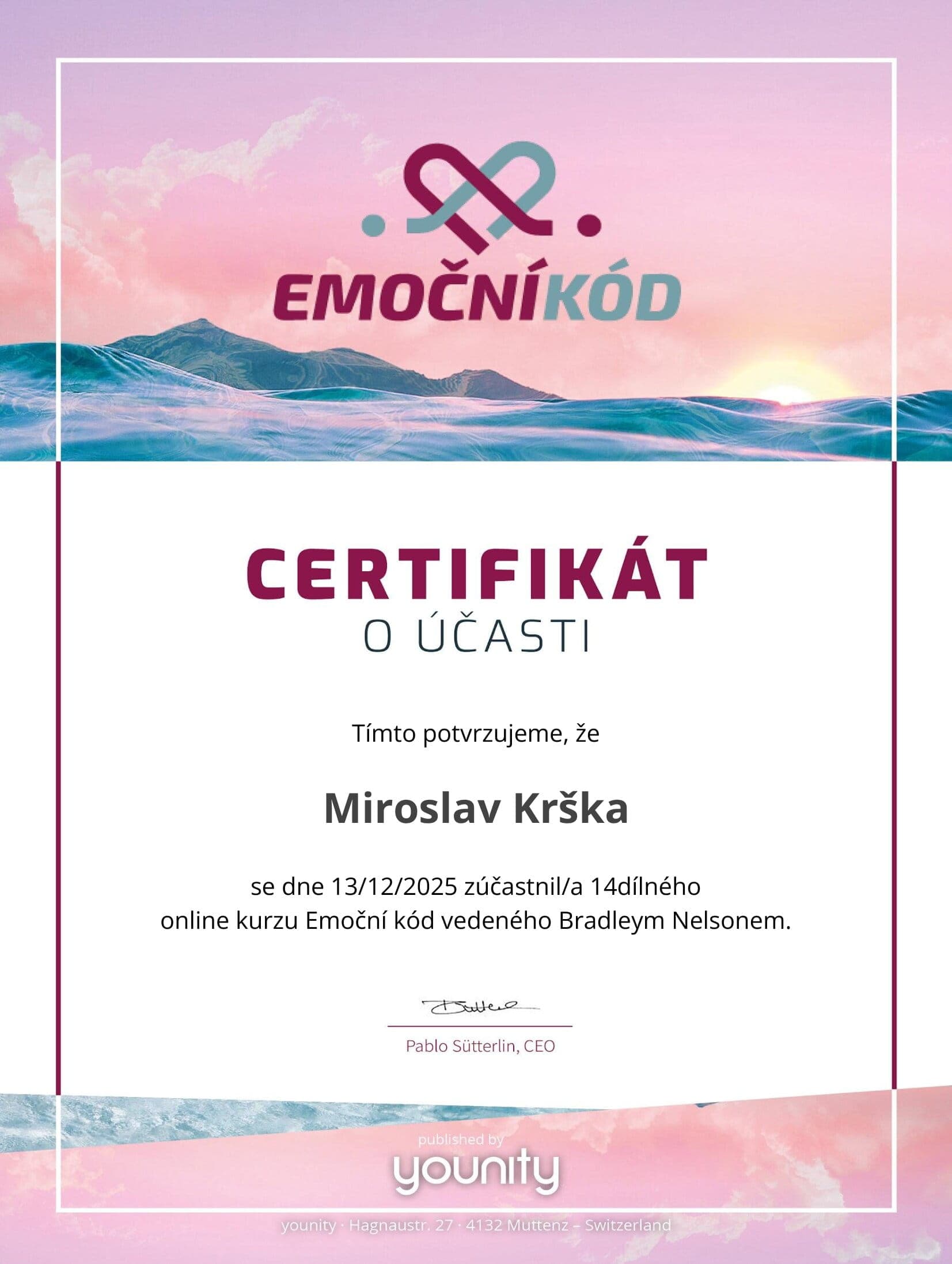 Emoční kód